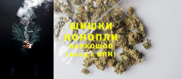 ПСИЛОЦИБИНОВЫЕ ГРИБЫ Аркадак