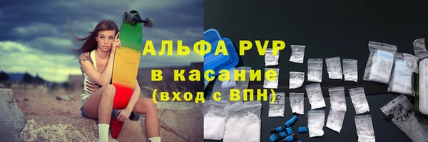 ПСИЛОЦИБИНОВЫЕ ГРИБЫ Аркадак