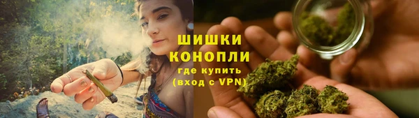 ПСИЛОЦИБИНОВЫЕ ГРИБЫ Аркадак