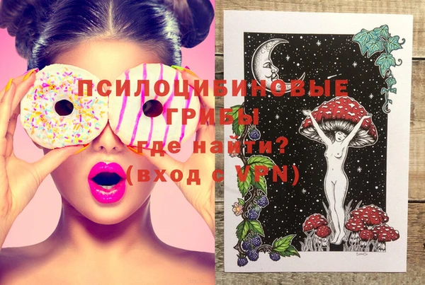 ПСИЛОЦИБИНОВЫЕ ГРИБЫ Аркадак