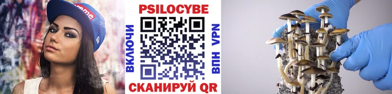 Галлюциногенные грибы Psilocybe  Крым 